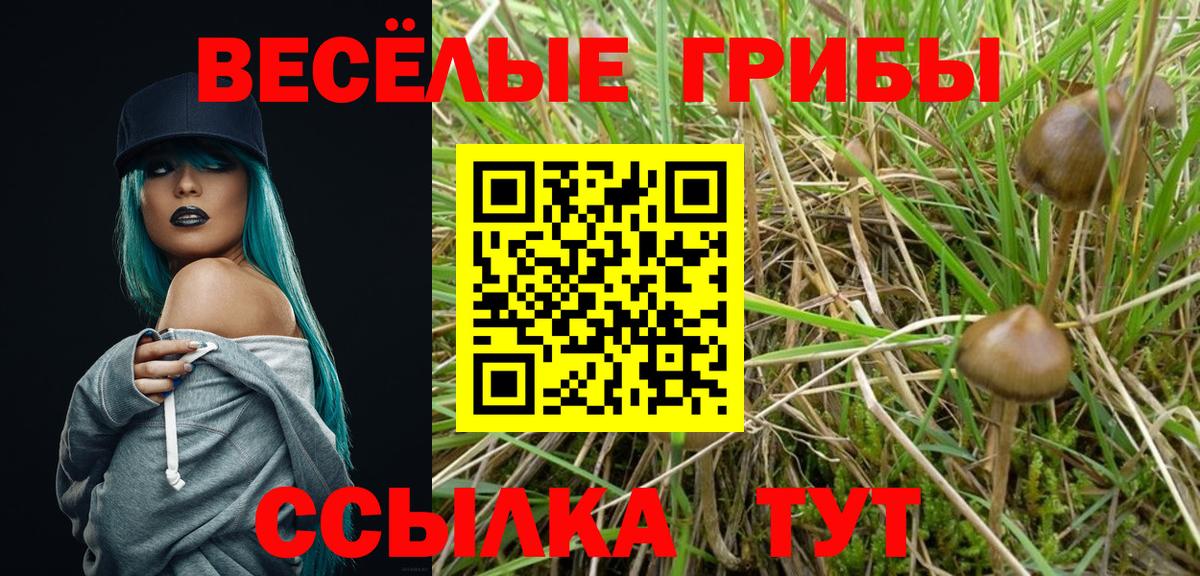Галлюциногенные грибы мицелий  Псилоцибиновые грибы GOLDEN TEACHER  сколько стоит  Кострома  Вход с VPN 